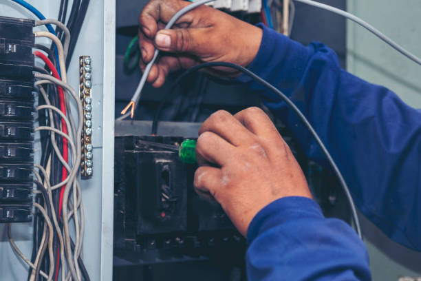 Best Local Electrician Companies  in Spring Arbor, MI