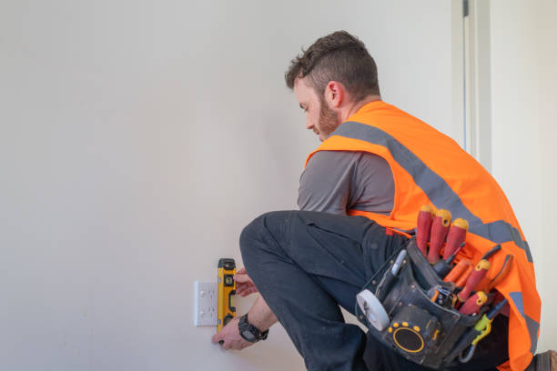 Best Affordable Electrician  in Spring Arbor, MI